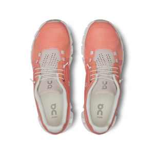 Caracteristicas clave Zapatos Cloud 5 Flamingo Pearl3