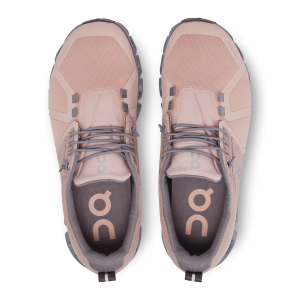 Caracteristicas clave Zapatos Cloud 5 Waterproof Rose Fossil1